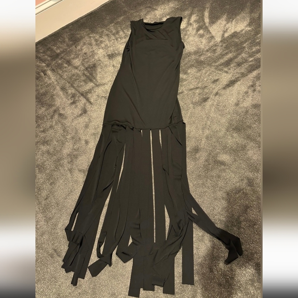 LIKE NEW ZARA FRINGE DRESS